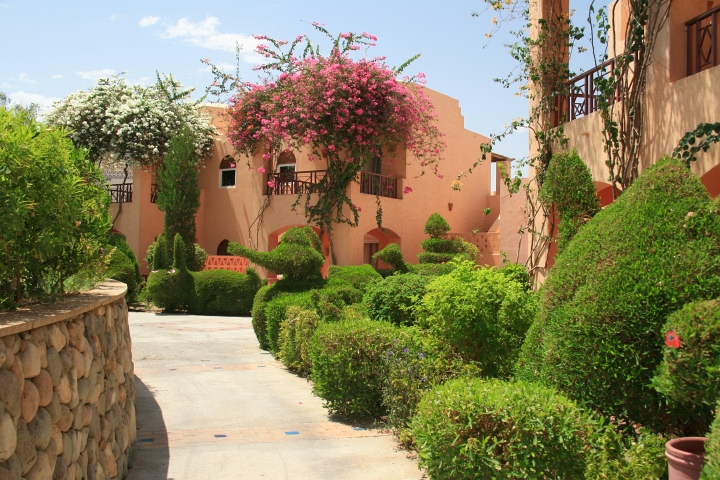 Vakantie Egypte 2010-389.jpg